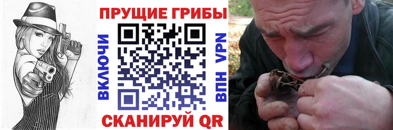Галлюциногенные грибы GOLDEN TEACHER  Олонец 